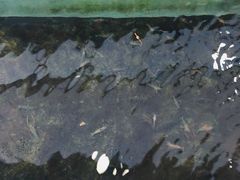 -小象钓虾·营地烧烤(洛溪店)