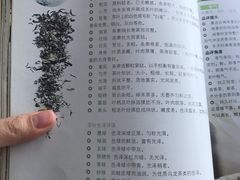 -太白山御龙湾温泉