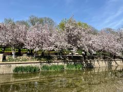 -海棠花溪(元大都城垣遗址公园)