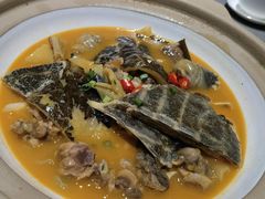 红煨甲鱼-神洲四海大酒楼(王府井澳门中心店)