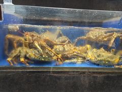 -徐记海鲜(陕西历史博物馆|明德门店)