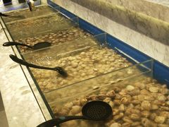 -火锅岛潮牌自助餐厅(天津天佑城店)