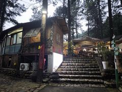 -小小饭店·休闲农庄·安吉松树林里的农家菜