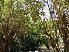 -三亚珠江南田温泉度假区