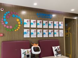 -睿宝儿科·眼科·口腔(杨浦新江湾城店)