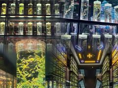-广东中医药博物馆