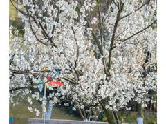 -国际非物质文化遗产博览园