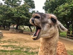 -西安秦岭野生动物园