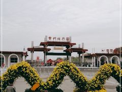 -曹州牡丹园