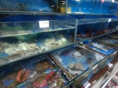 -张树军海鲜(王府壹号店)