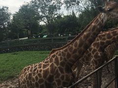 -石家庄市动物园