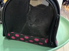 -拜鲁耶动物诊疗中心·宠家动物医院