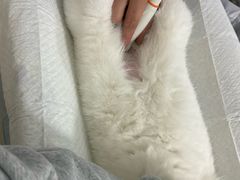 -美美宠物诊疗中心·异宠·骨科(滨江东信分院)