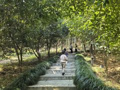 -东明山森林公园