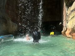 -新加坡水上探险乐园