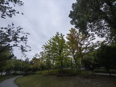 -星伦多自助料理(爱琴海店)
