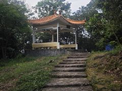 -风云岭森林公园