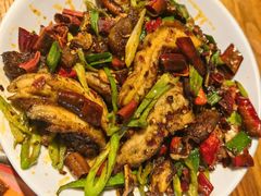 -柴窝堡22号辣子鸡·传承新疆菜