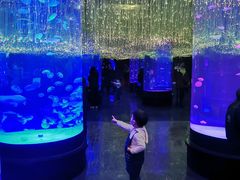 -波塞冬海底世界