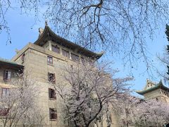-武汉大学-樱园