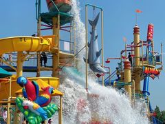 -秦皇岛乐岛海洋王国