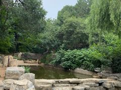 -北京西山国家森林公园