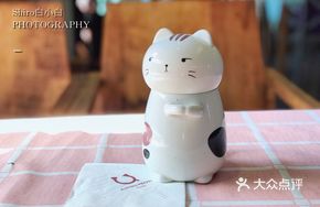 Giding Cat Cocoa