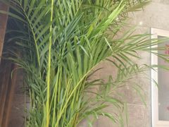 -哈尔滨道外花鸟鱼市场