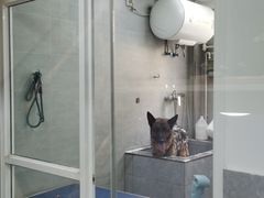 -宠福鑫康馨动物医院·骨科·眼科