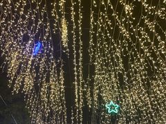 -巴伐利亚啤酒坊(意式风情街店)