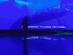 -同济大学四平路校区深海探索馆