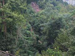 -塔斯汀中国汉堡(西湖景顺铂悦城店)