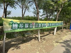 -西青郊野公园