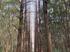 -同里国家湿地公园