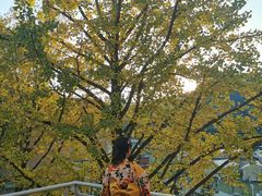 -重庆南山海昌汤都