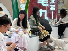 -PO PARK东方宝泰