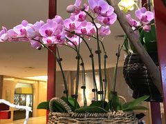 -浙江三立开元名都大酒店