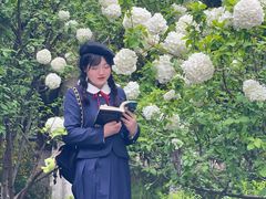 -武汉园博园(武汉自然博物馆)