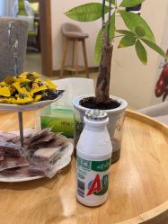 -塑青春&伊肤泉祛痘皮肤管理