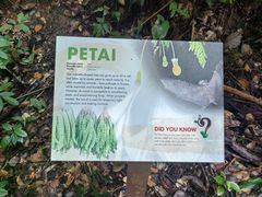 -武吉知马自然保护区