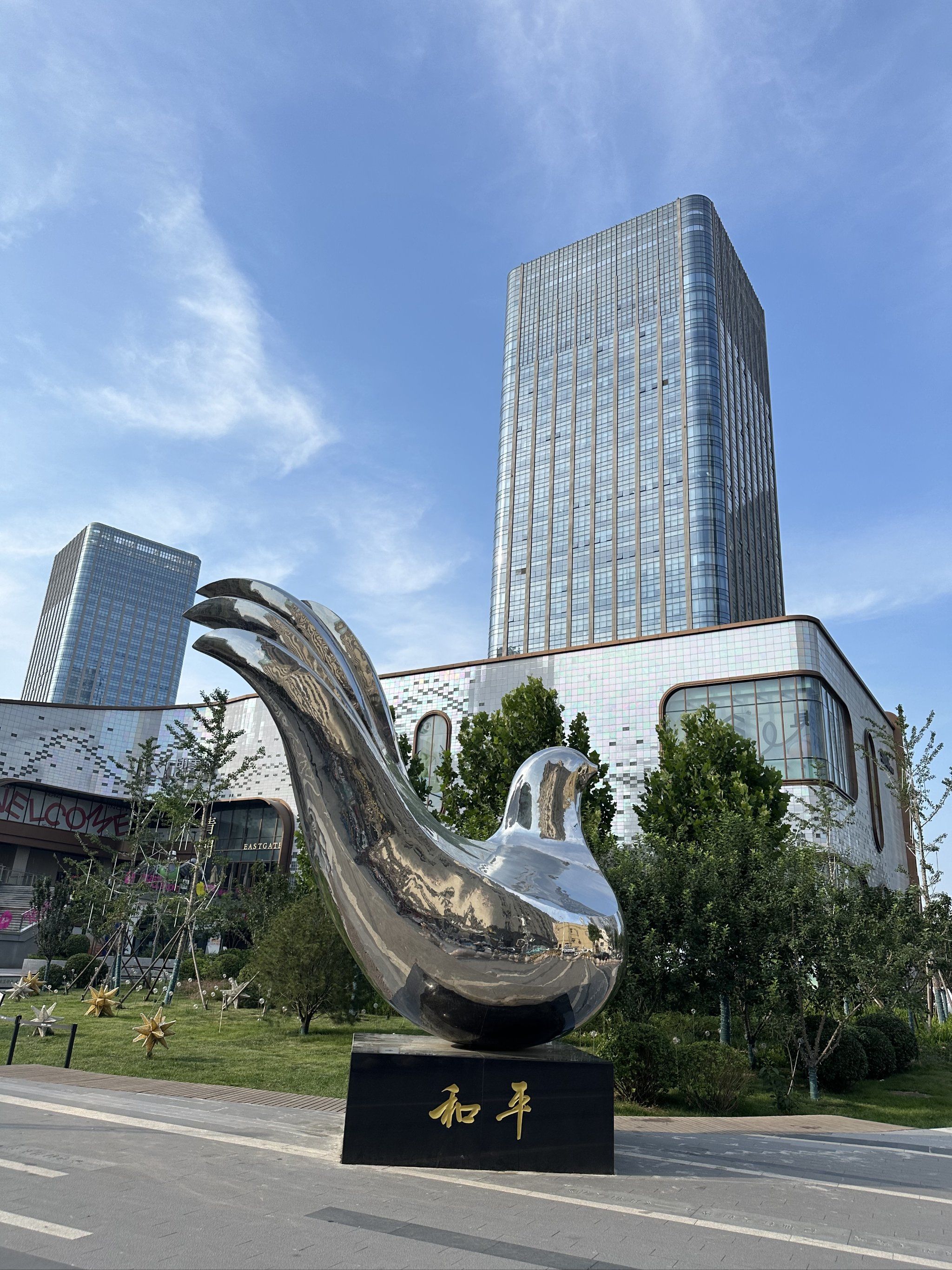 和平路上的和平鸽🕊