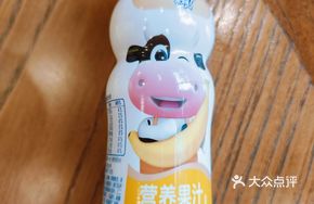 Fruit Yogurt