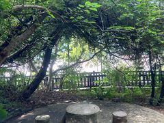 -白帝城·瞿塘峡景区