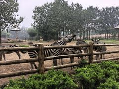 -大连森林动物园