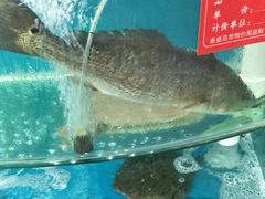 -聚德福海鲜家常菜(刘庄店)