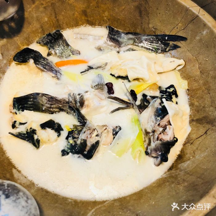 原生态蒸汽草帽鱼图片 - 第112张