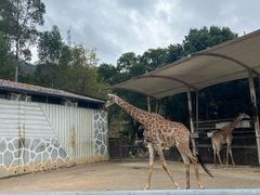 -泉州海丝野生动物世界