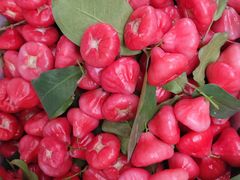 -老炳·七丛松甘草水果