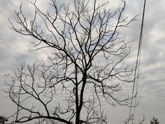 -金堂县云顶石城风景区