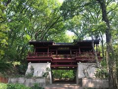 -紫霞湖公园